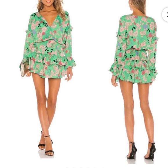 Misa Los Angeles Dresses & Skirts - $320 Misa Los Angeles Green Floral Dress